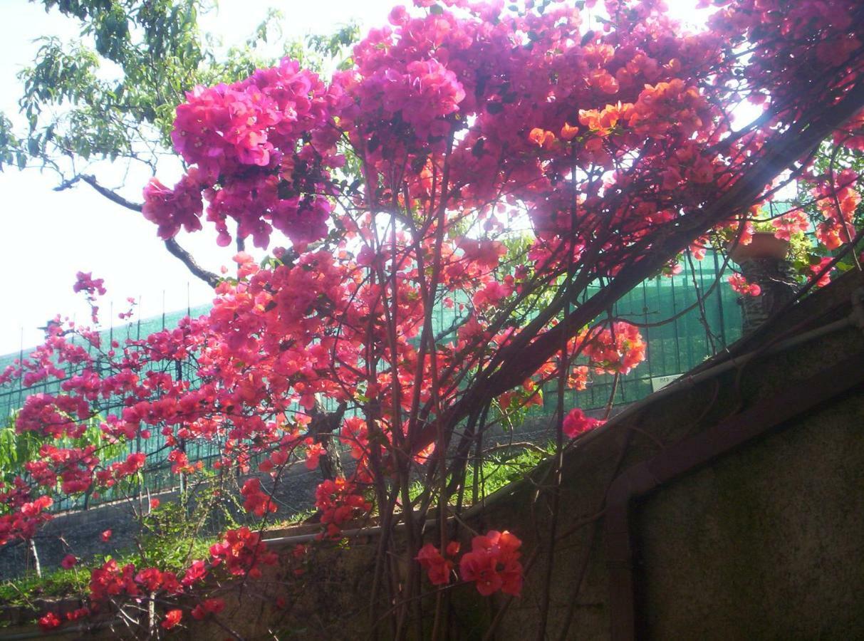 Le Gardenie Da Fil Bed & Breakfast Bordighera Luaran gambar