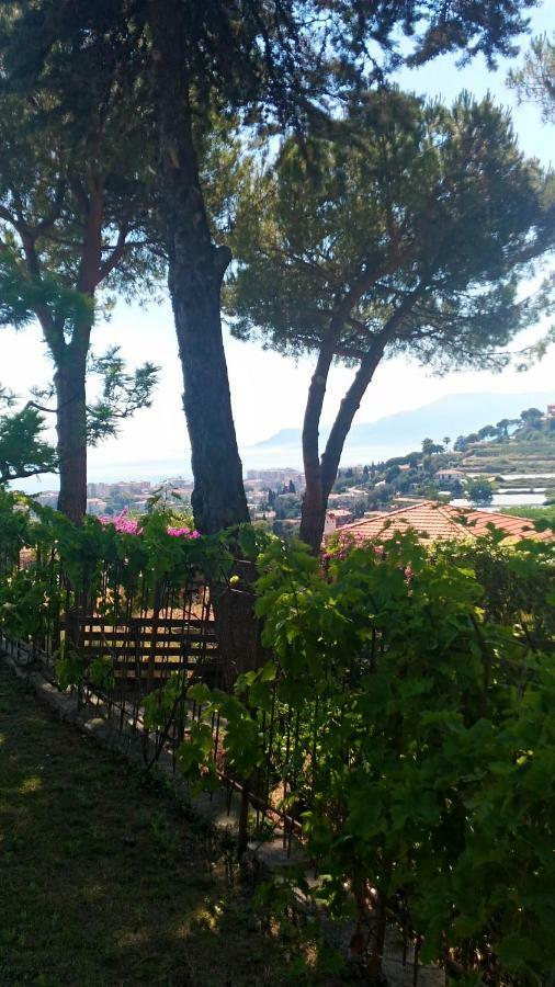 Le Gardenie Da Fil Bed & Breakfast Bordighera Luaran gambar